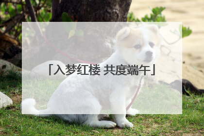 入梦红楼 共度端午