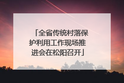 全省传统村落保护利用工作现场推进会在松阳召开