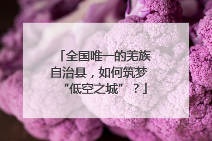 全国唯一的羌族自治县，如何筑梦“低空之城”？