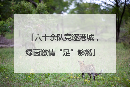 六十余队竞逐港城，绿茵激情“足”够燃
