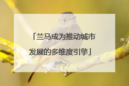 兰马成为推动城市发展的多维度引擎
