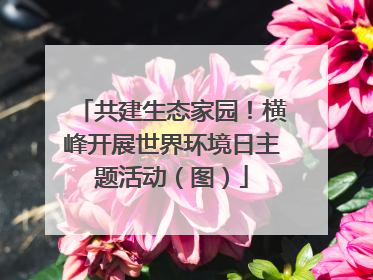 共建生态家园！横峰开展世界环境日主题活动（图）