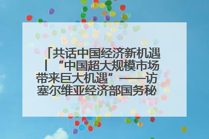 共话中国经济新机遇丨“中国超大规模市场带来巨大机遇”——访塞尔维亚经济部国务秘书尼科利奇