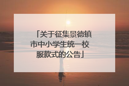 关于征集景德镇市中小学生统一校服款式的公告
