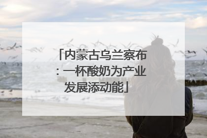 内蒙古乌兰察布：一杯酸奶为产业发展添动能