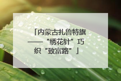 内蒙古扎鲁特旗——“绣花针”巧织“致富路”