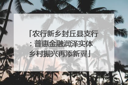 农行新乡封丘县支行：普惠金融润泽实体 乡村振兴再添新翼
