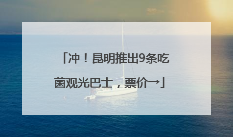冲！昆明推出9条吃菌观光巴士，票价→
