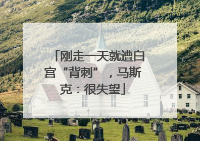 刚走一天就遭白宫“背刺”，马斯克：很失望
