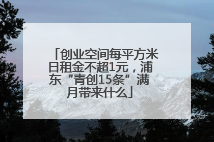 创业空间每平方米日租金不超1元，浦东“青创15条”满月带来什么