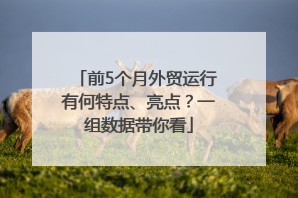 前5个月外贸运行有何特点、亮点？一组数据带你看