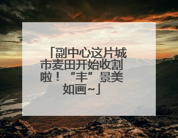 副中心这片城市麦田开始收割啦！“丰”景美如画~