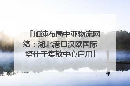 加速布局中亚物流网络：湖北港口汉欧国际塔什干集散中心启用