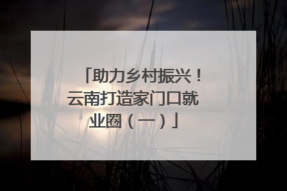 助力乡村振兴！云南打造家门口就业圈（一）