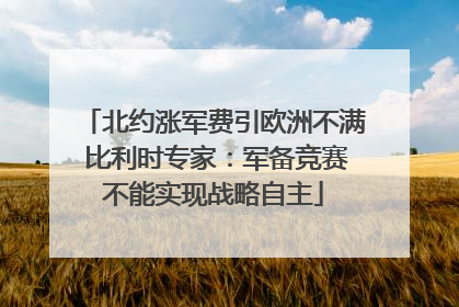 北约涨军费引欧洲不满 比利时专家：军备竞赛不能实现战略自主