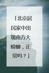 北京居民家中出现南方大蟑螂，正常吗？