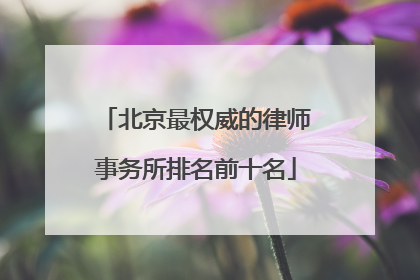 北京最权威的律师事务所排名前十名