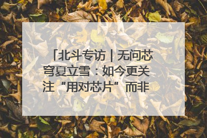 北斗专访｜无问芯穹夏立雪：如今更关注“用对芯片”而非“用贵芯片”