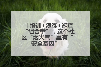培训+演练+巡查“组合拳”，这个社区“烟火气”里有“安全基因”