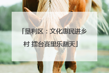 垦利区：文化惠民进乡村 擂台赛里乐翻天