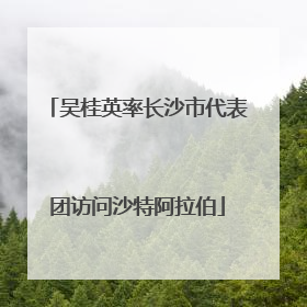 吴桂英率长沙市代表团访问沙特阿拉伯