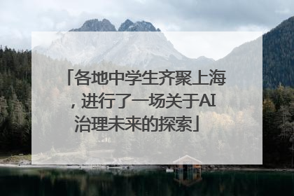 各地中学生齐聚上海，进行了一场关于AI治理未来的探索
