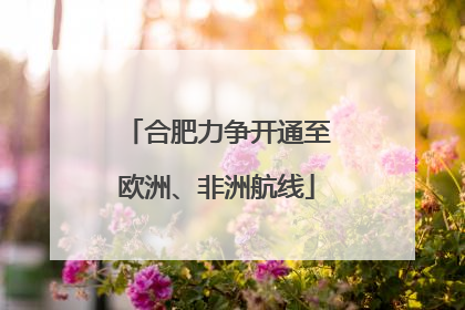 合肥力争开通至欧洲、非洲航线