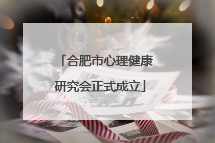合肥市心理健康研究会正式成立