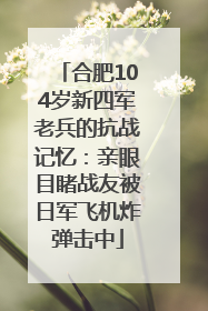 合肥104岁新四军老兵的抗战记忆：亲眼目睹战友被日军飞机炸弹击中