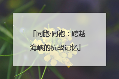 同胞·同袍：跨越海峡的抗战记忆