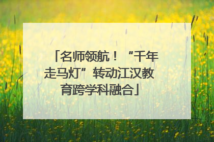 名师领航！“千年走马灯”转动江汉教育跨学科融合
