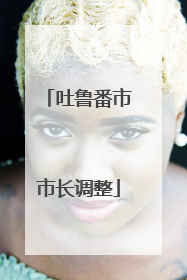 吐鲁番市市长调整