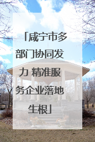 咸宁市多部门协同发力 精准服务企业落地生根