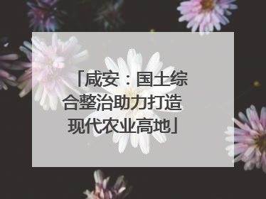 咸安：国土综合整治助力打造现代农业高地