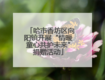 哈市香坊区向阳镇开展“情暖童心共护未来”捐赠活动