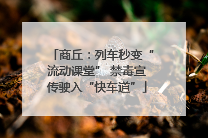 商丘：列车秒变“流动课堂” 禁毒宣传驶入“快车道”