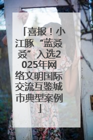 喜报！小江豚“蓝叒叒”入选2025年网络文明国际交流互鉴城市典型案例