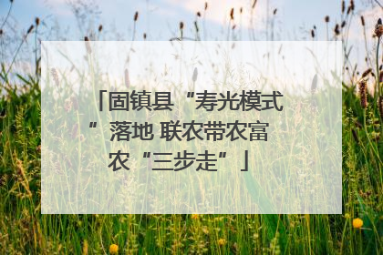 固镇县“寿光模式”落地 联农带农富农“三步走”
