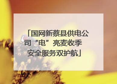 国网新蔡县供电公司“电”亮麦收季 安全服务双护航