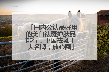 国内公认最好用的美白祛斑护肤品排行，中国祛斑十大名牌，放心囤