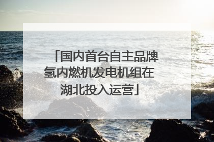 国内首台自主品牌氢内燃机发电机组在湖北投入运营