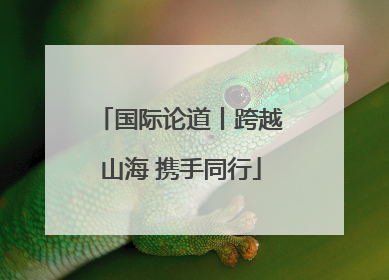 国际论道丨跨越山海 携手同行