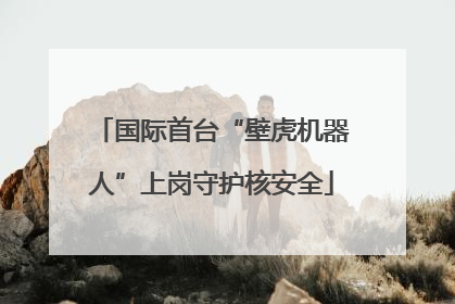 国际首台“壁虎机器人”上岗守护核安全