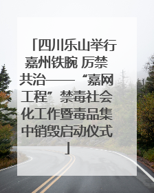 四川乐山举行嘉州铁腕 厉禁共治——“嘉网工程”禁毒社会化工作暨毒品集中销毁启动仪式