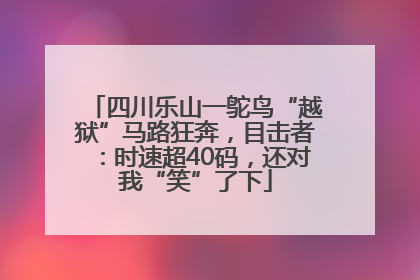 四川乐山一鸵鸟“越狱”马路狂奔，目击者：时速超40码，还对我“笑”了下
