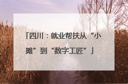 四川：就业帮扶从“小摊”到“数字工匠”