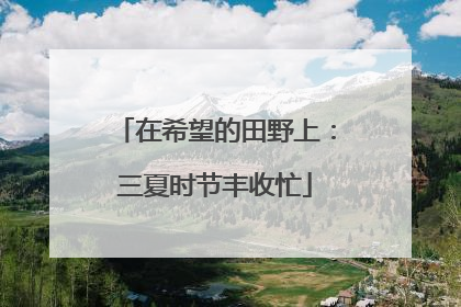 在希望的田野上：三夏时节丰收忙