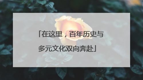 在这里，百年历史与多元文化双向奔赴