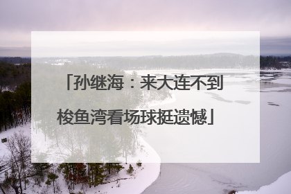孙继海：来大连不到梭鱼湾看场球挺遗憾