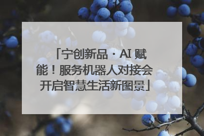 宁创新品・AI 赋能！服务机器人对接会开启智慧生活新图景